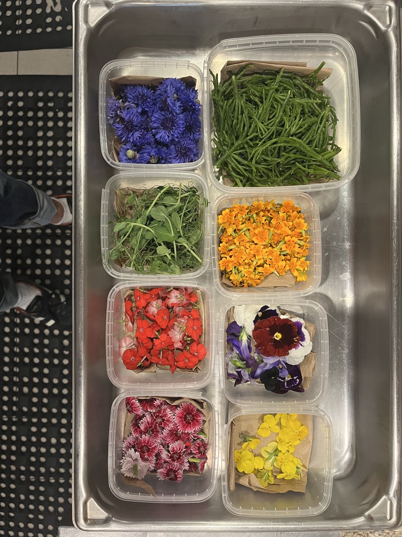 Sélection de fleurs comestibles